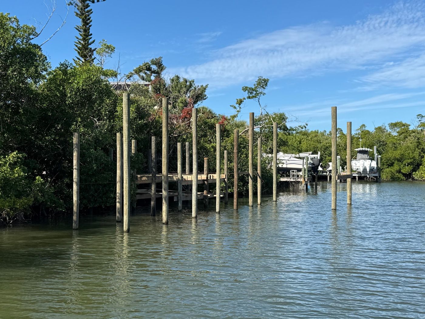 Dock pilings in the water awaiting protective wraps