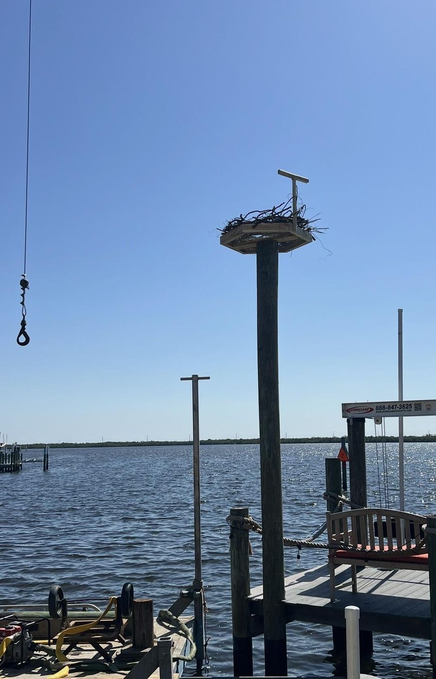 Osprey nest on top of a dock piling